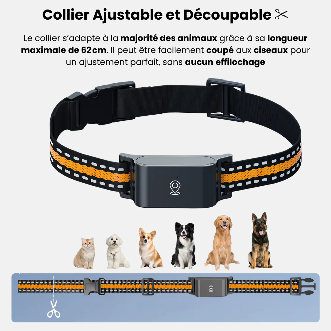 Narsago™ Collier GPS Chien – Suivi Haute Précision et Portée Illimitée