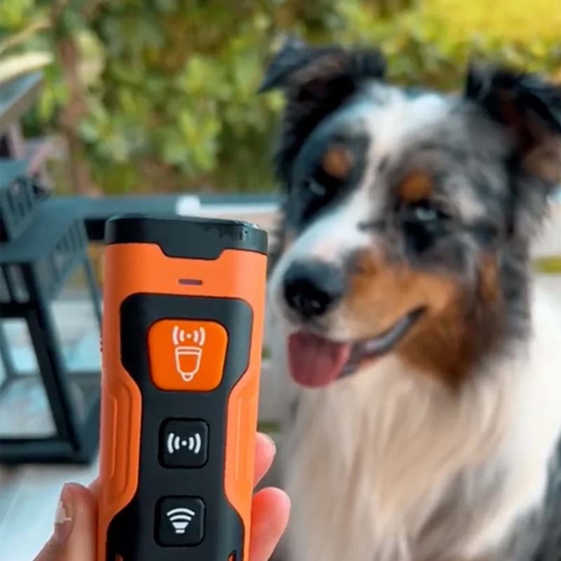 Répulsif ultrasonique pour chiens