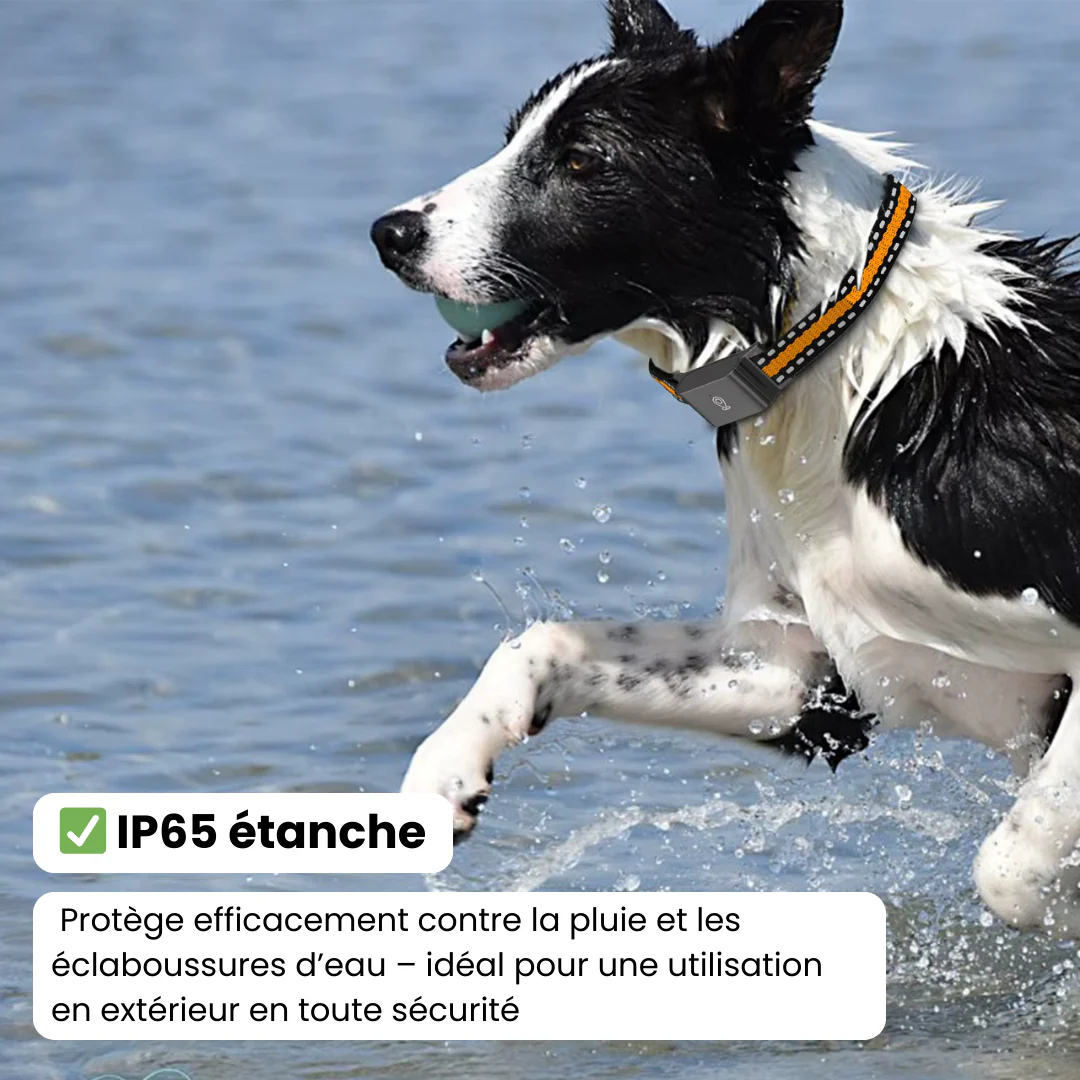 Narsago™ Collier GPS Chien – Suivi Haute Précision et Portée Illimitée