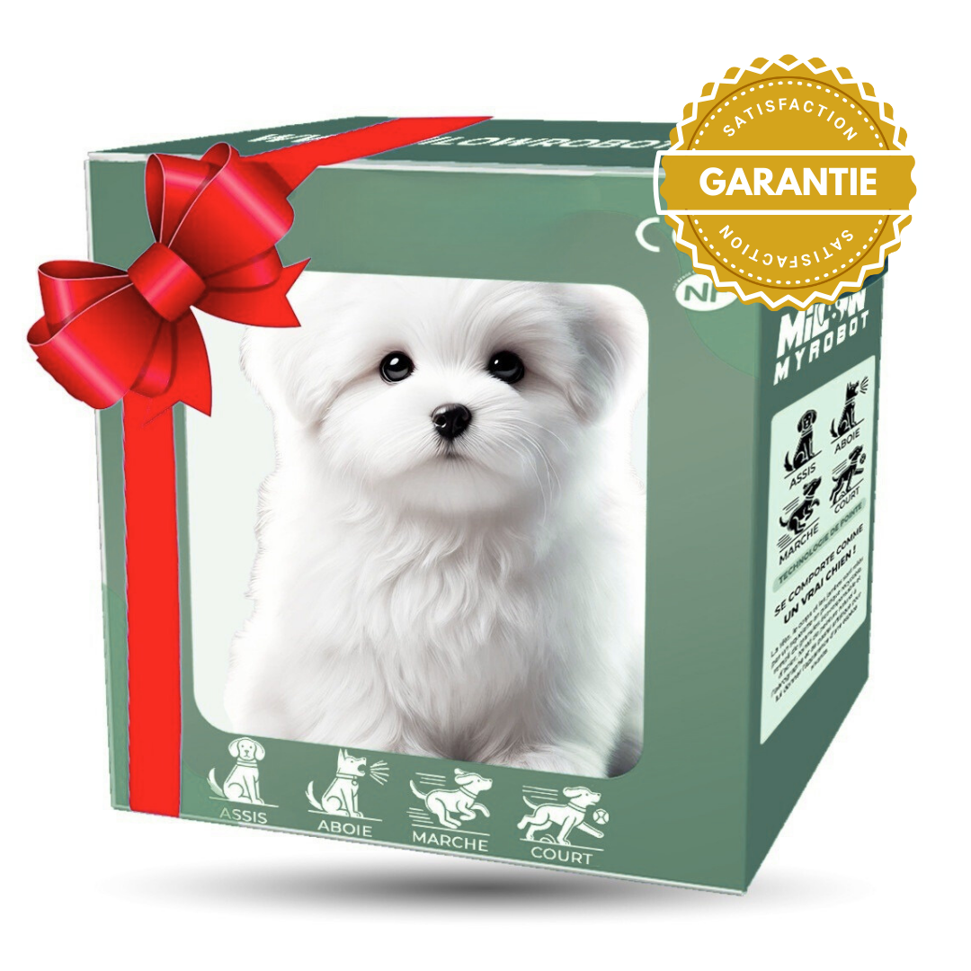 Buddy Robot™ – Le Chiot Interactif Qui Séduit Toute la Famille