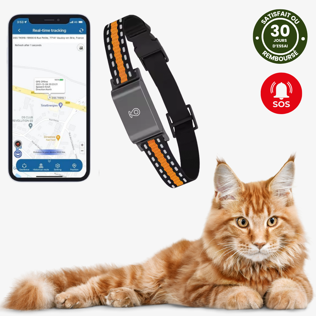 Narsago™ Collier GPS pour Chat – Portée Illimitée, Sans Abonnement