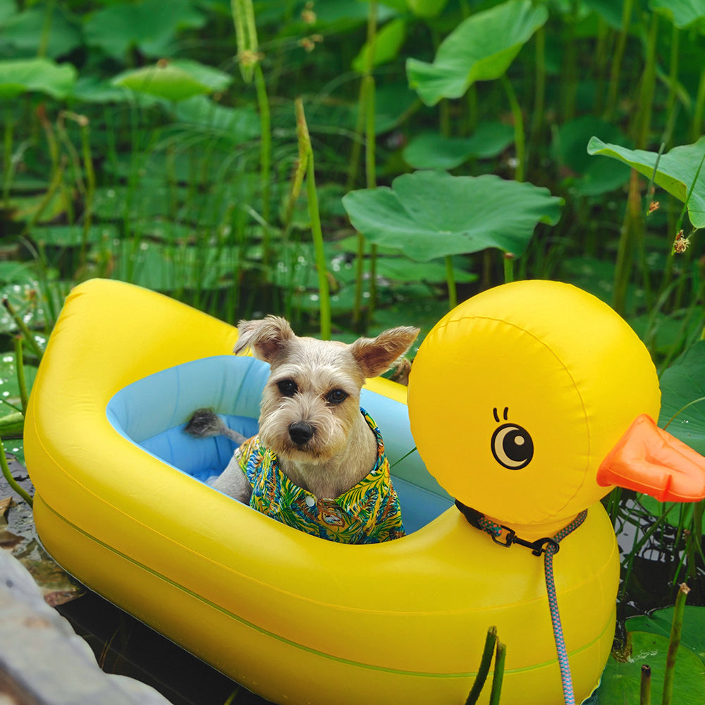Bouée gonflable en forme de canard pour chiens, pour des jeux d'eau en toute sécurité