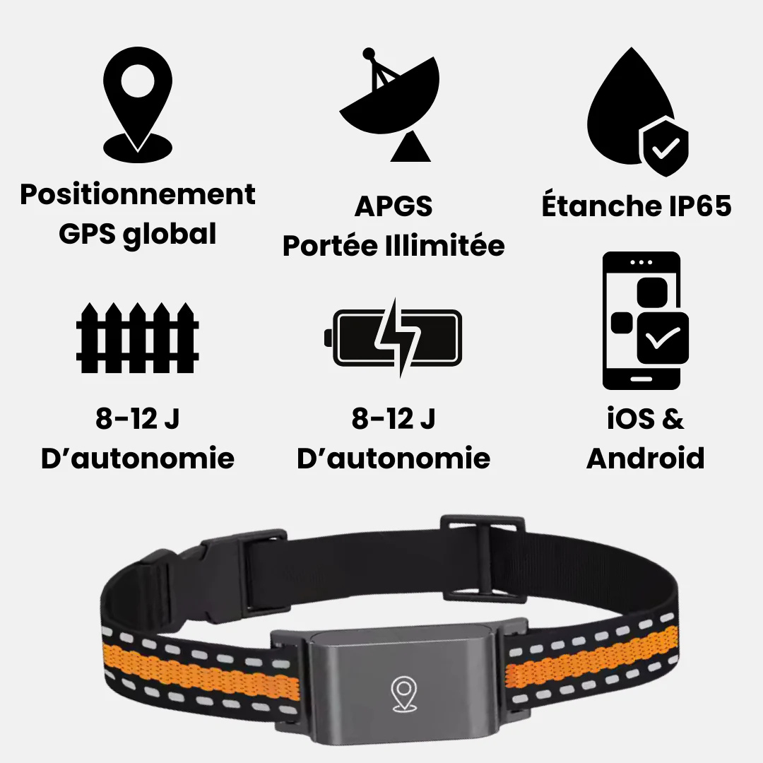 Narsago™ Collier GPS pour Chat – Portée Illimitée, Sans Abonnement