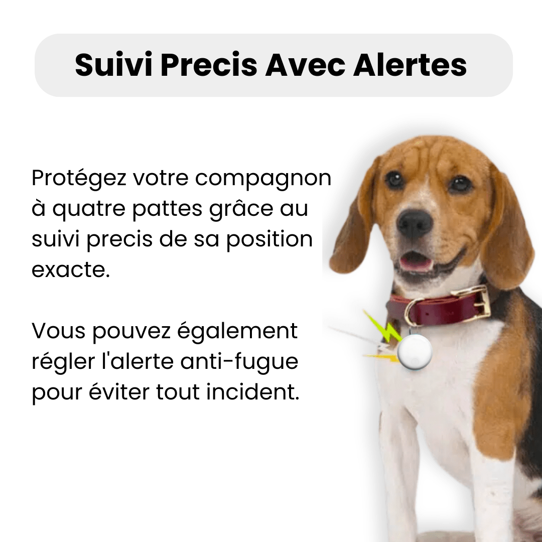 Traceur GPS pour Chien 3 en 1 - Narsago - ANDROID / iOS