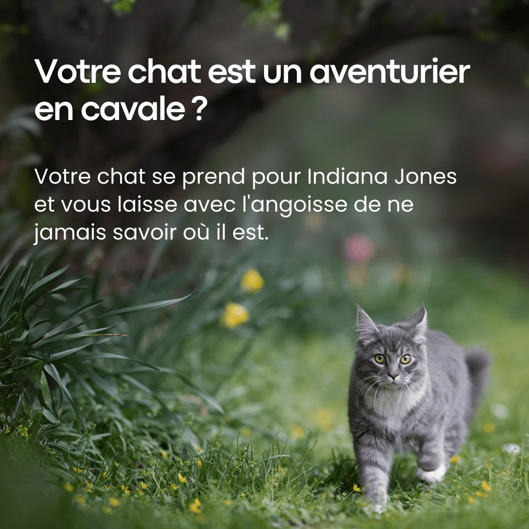 Traceur GPS pour Animaux de Compagnie - Narsago - ANDROID / iOS