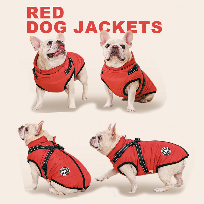 Veste d’Hiver pour Chiens
