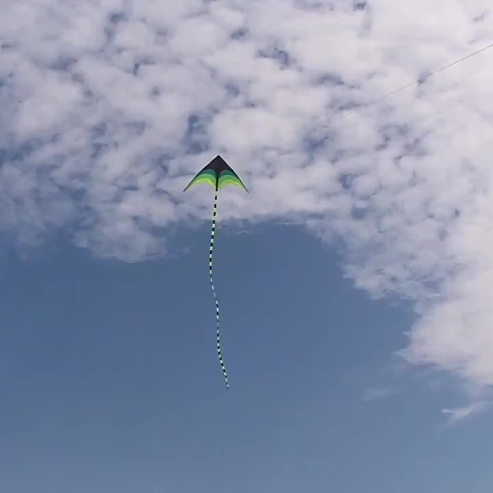 Cerf-volant arc-en-ciel avec de longs rubans colorés pour la plage et les jeux en plein air