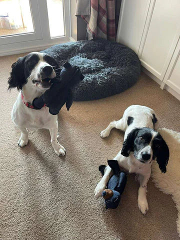 Jouets pour Chiens Ours Indestructibles et Interactifs pour Grands Mâcheurs