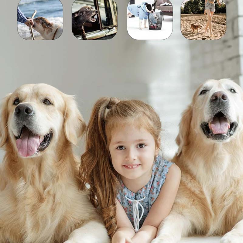 Répulsif ultrasonique pour chiens