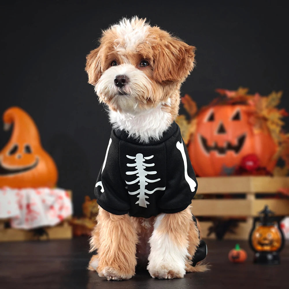 Costume d'Halloween pour chien, combinaison squelette