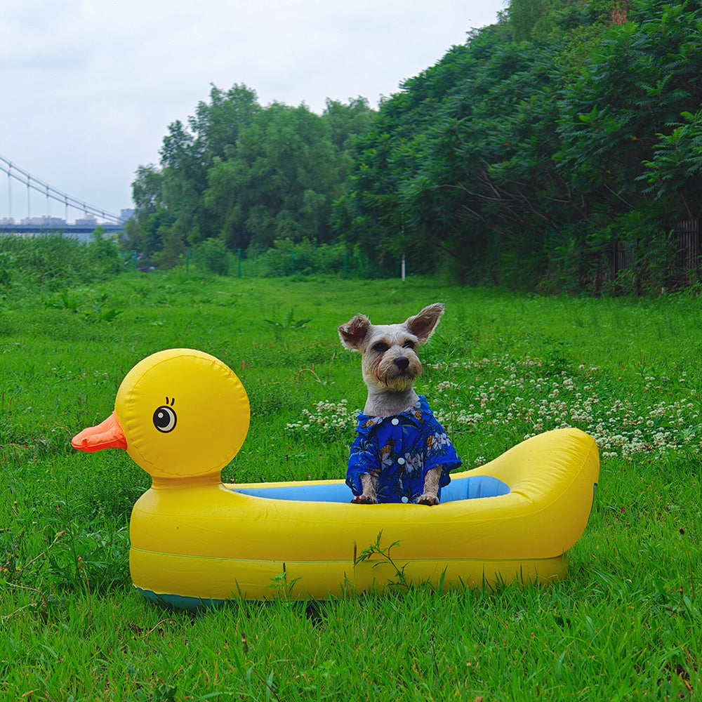 Bouée gonflable en forme de canard pour chiens, pour des jeux d'eau en toute sécurité