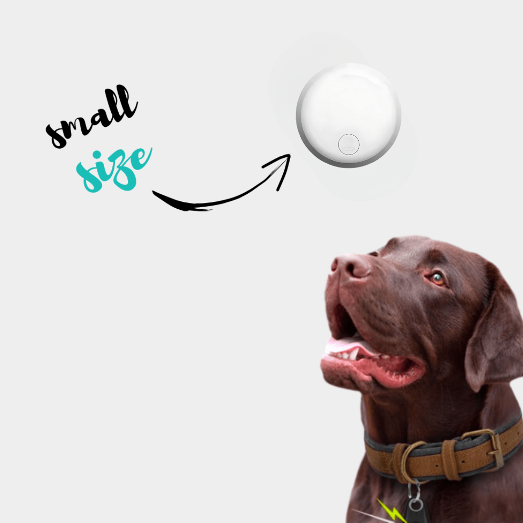Traceur GPS pour Chien 3 en 1 - Narsago - ANDROID / iOS