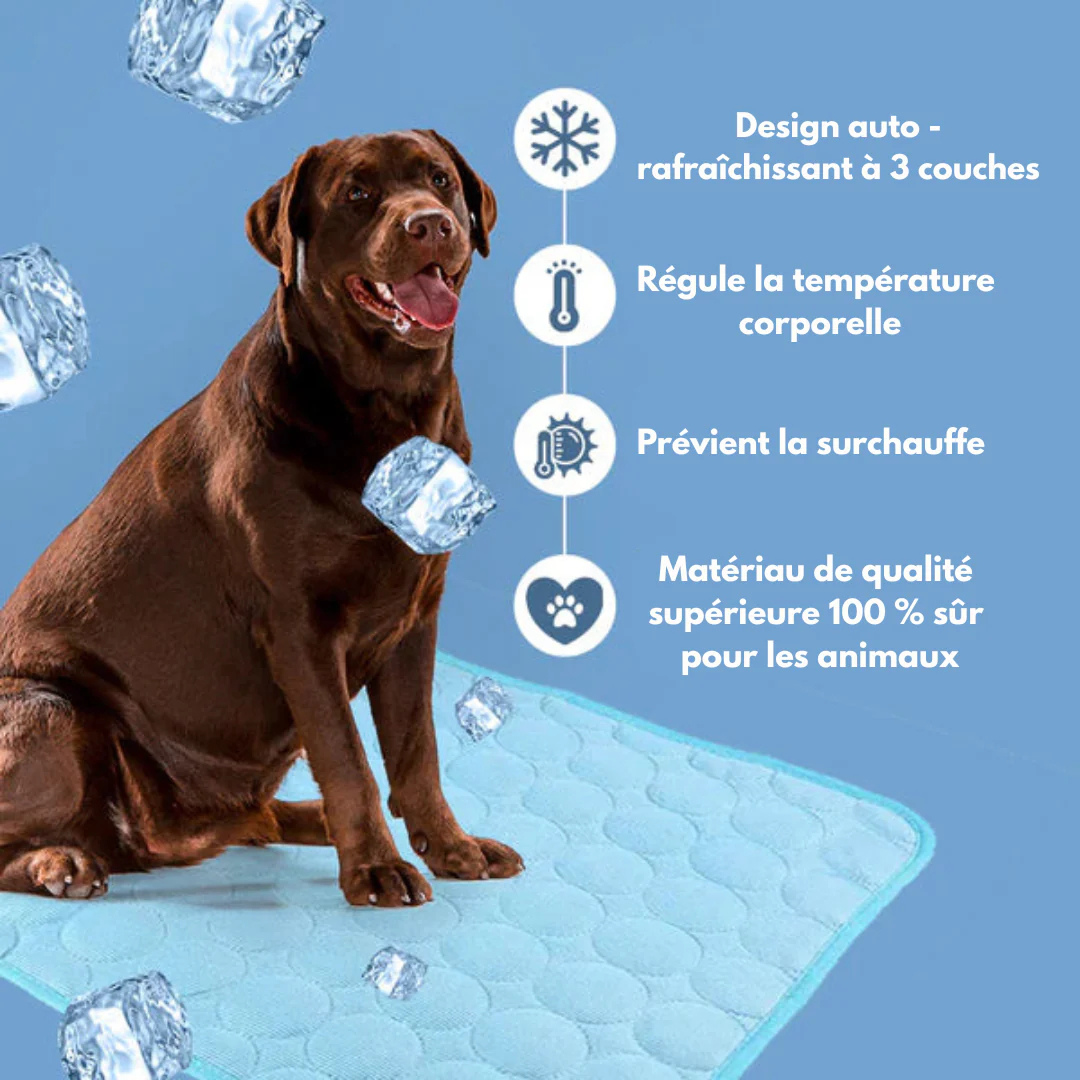 CalmPet™ | Tapis de Refroidissement Intelligent pour Animaux