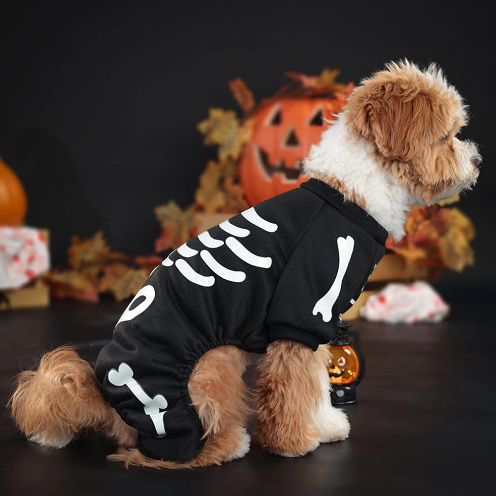 Costume d'Halloween pour chien, combinaison squelette
