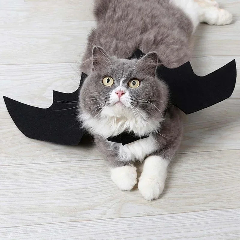 Costume d'Halloween aile de chauve-souris pour animaux de compagnie