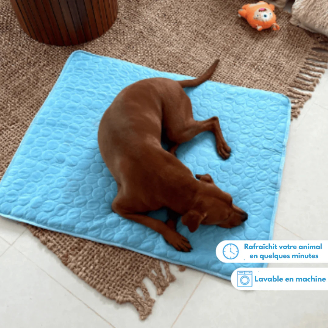 CalmPet™ | Tapis de Refroidissement Intelligent pour Animaux