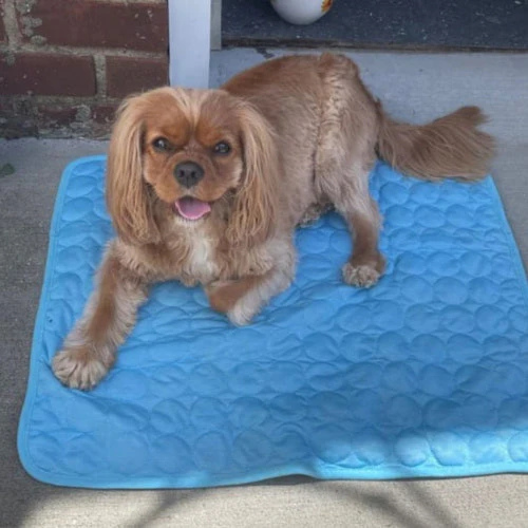 CalmPet™ | Tapis de Refroidissement Intelligent pour Animaux