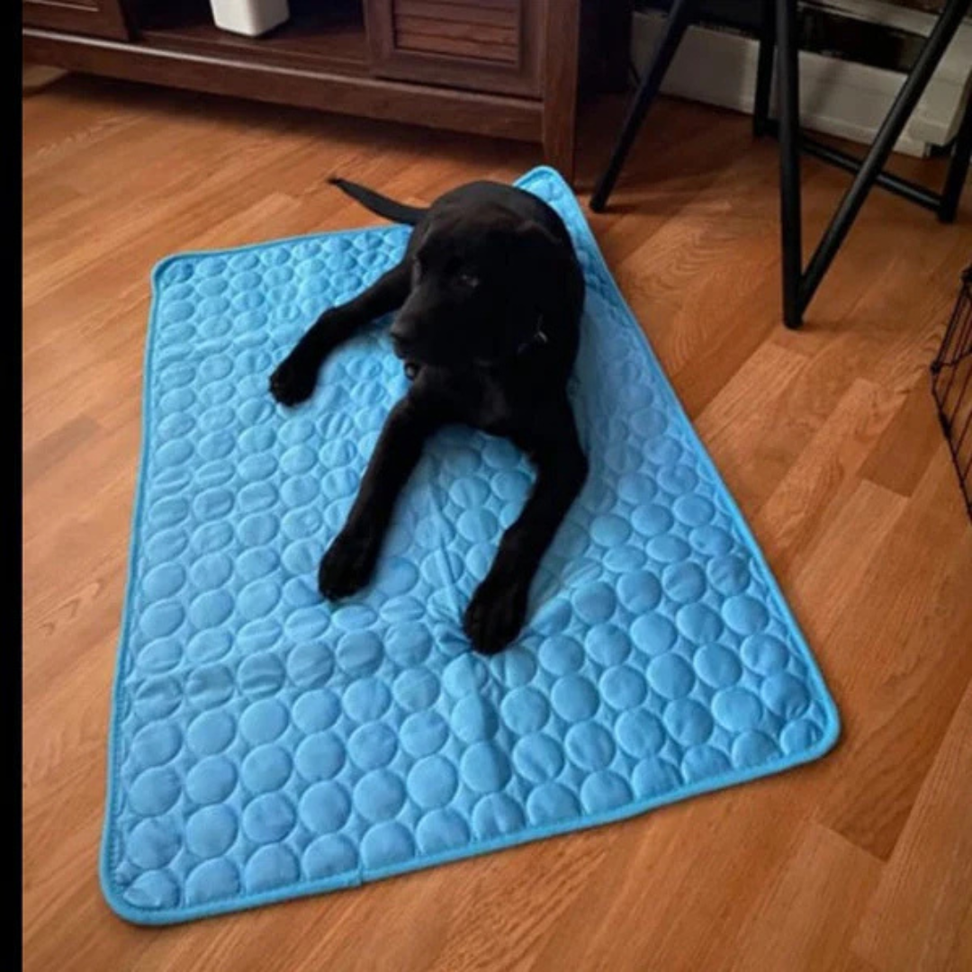 CalmPet™ | Tapis de Refroidissement Intelligent pour Animaux