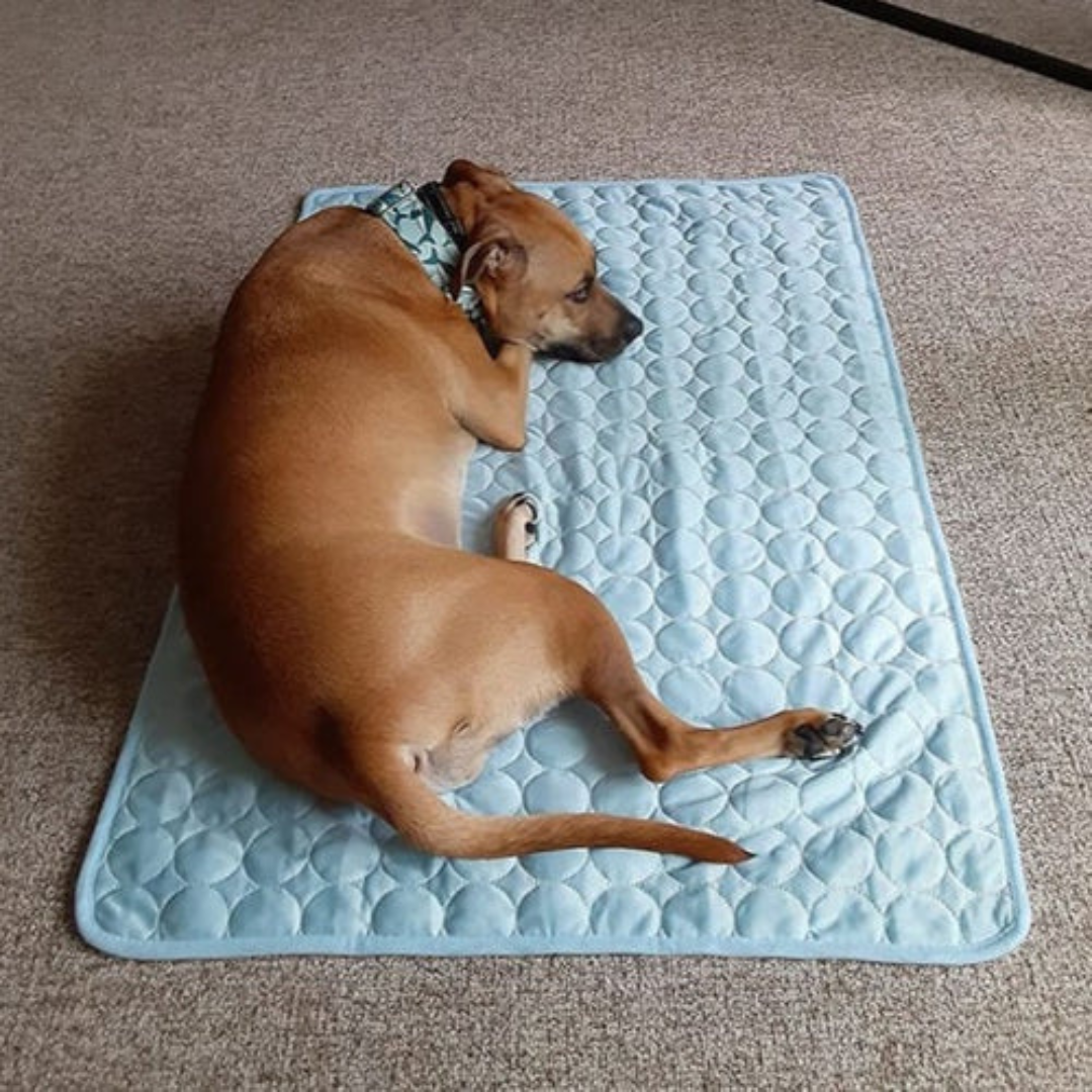 CalmPet™ | Tapis de Refroidissement Intelligent pour Animaux