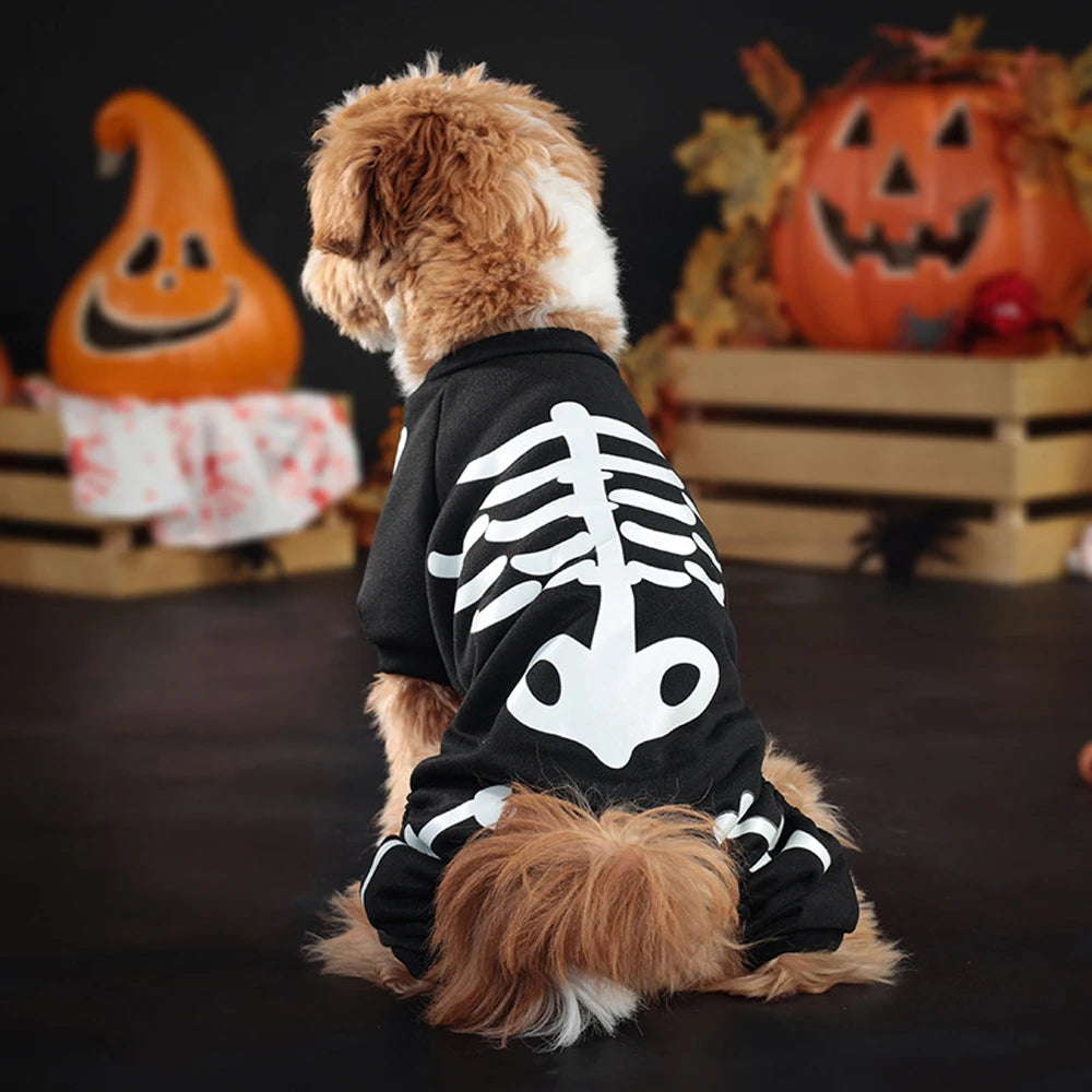Costume d'Halloween pour chien, combinaison squelette