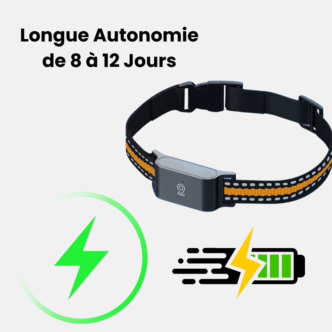 Narsago™ Collier GPS pour Chat – Portée Illimitée, Sans Abonnement