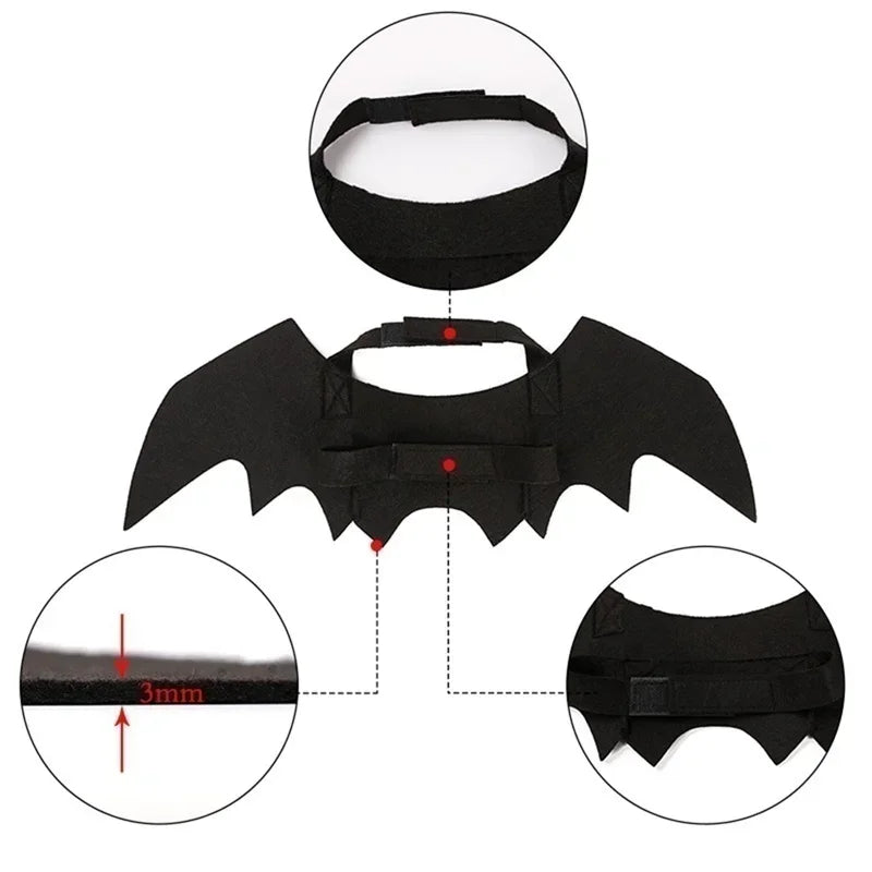 Costume d'Halloween aile de chauve-souris pour animaux de compagnie