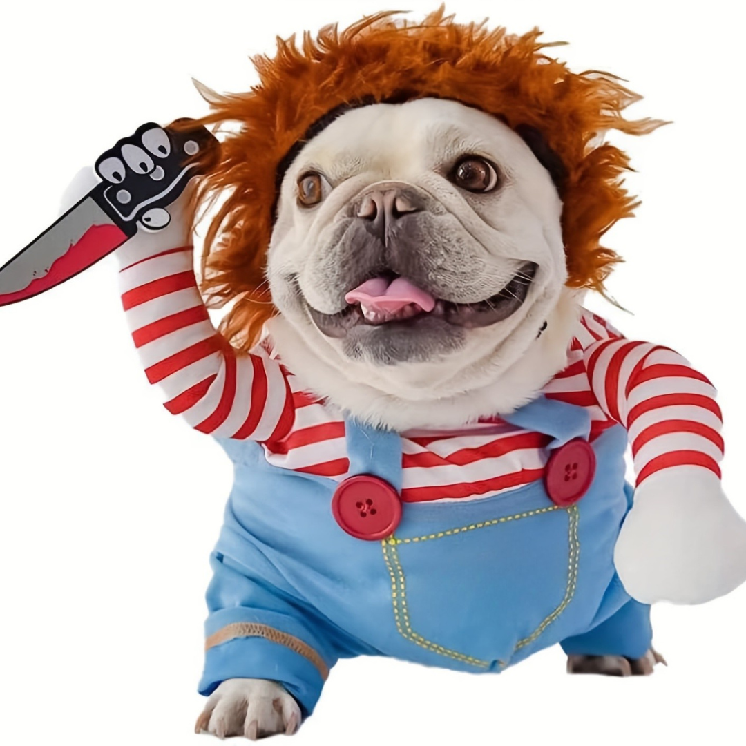 Costume d'Halloween pour animaux de compagnie | Salopette rayée avec motif perruque