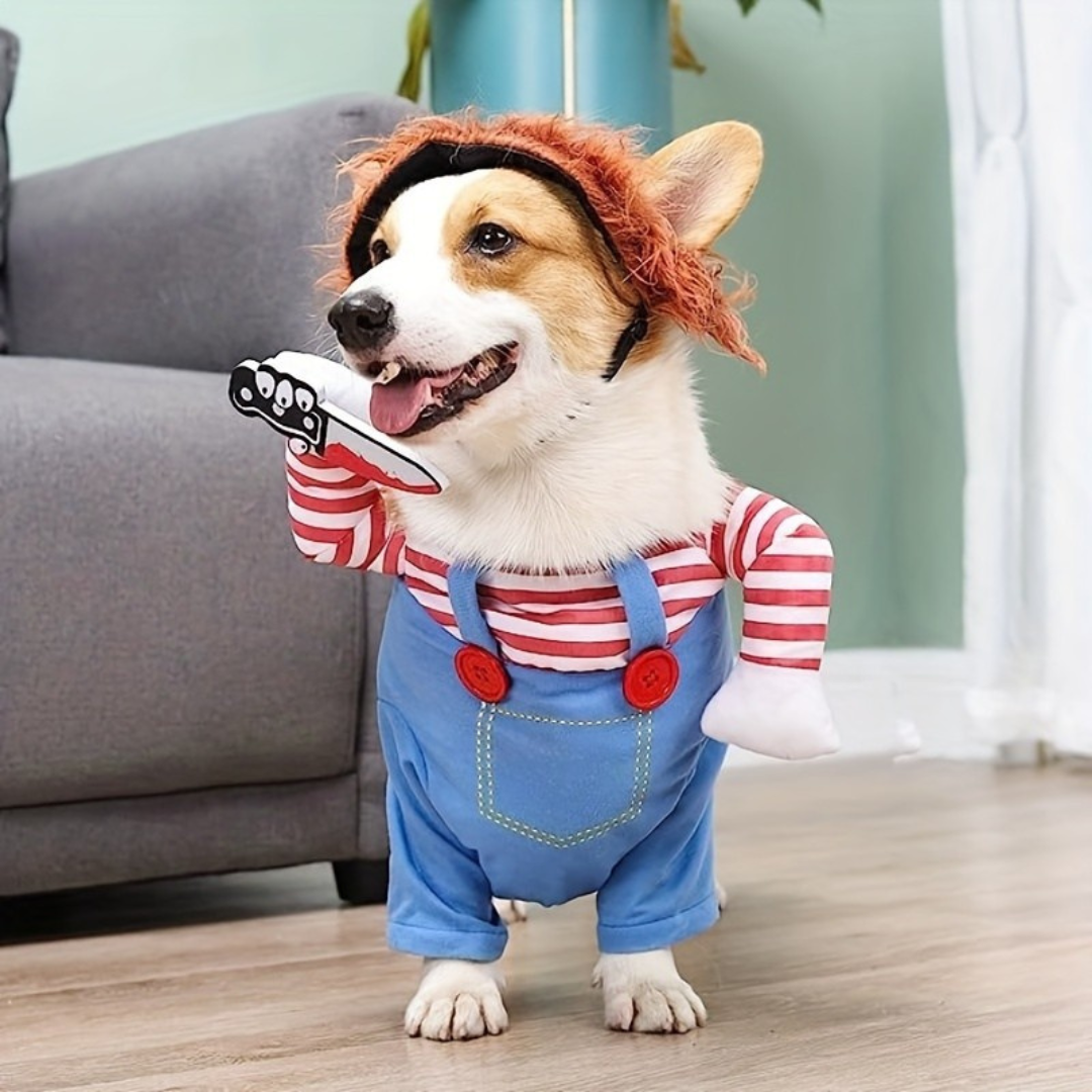 Costume d'Halloween pour animaux de compagnie | Salopette rayée avec motif perruque