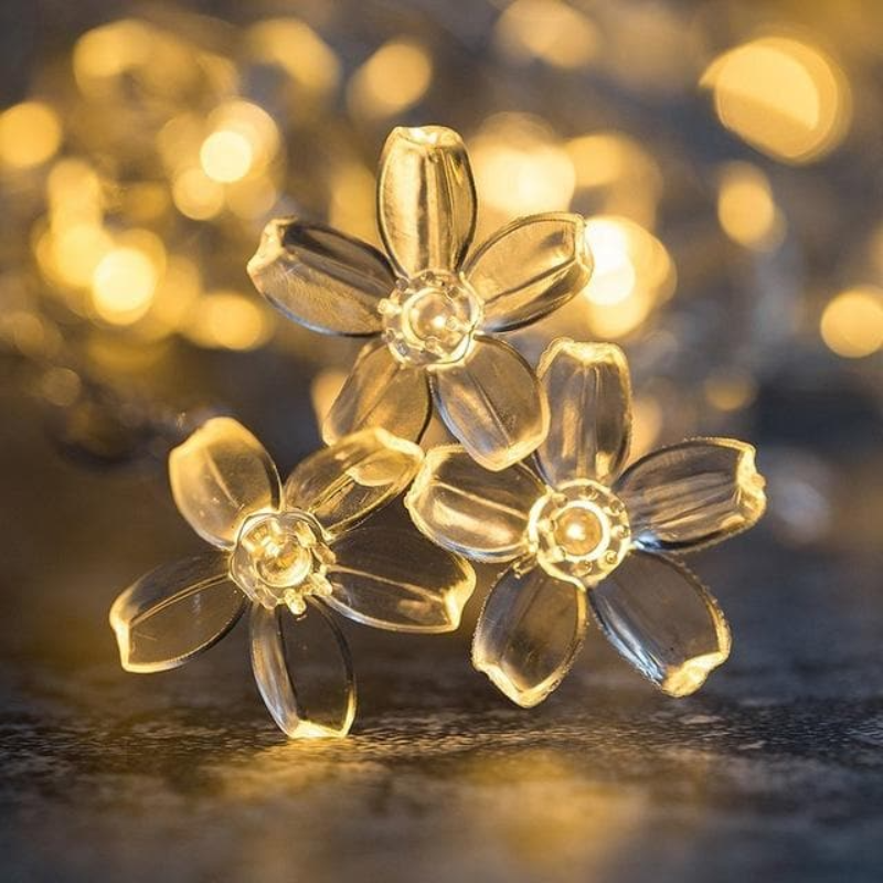 Guirlande Lumineuse LED Guirlande Lumineuse Intérieur Extérieur Blanc Chaud Étoile Fleur Boule Chambre | Sansotis