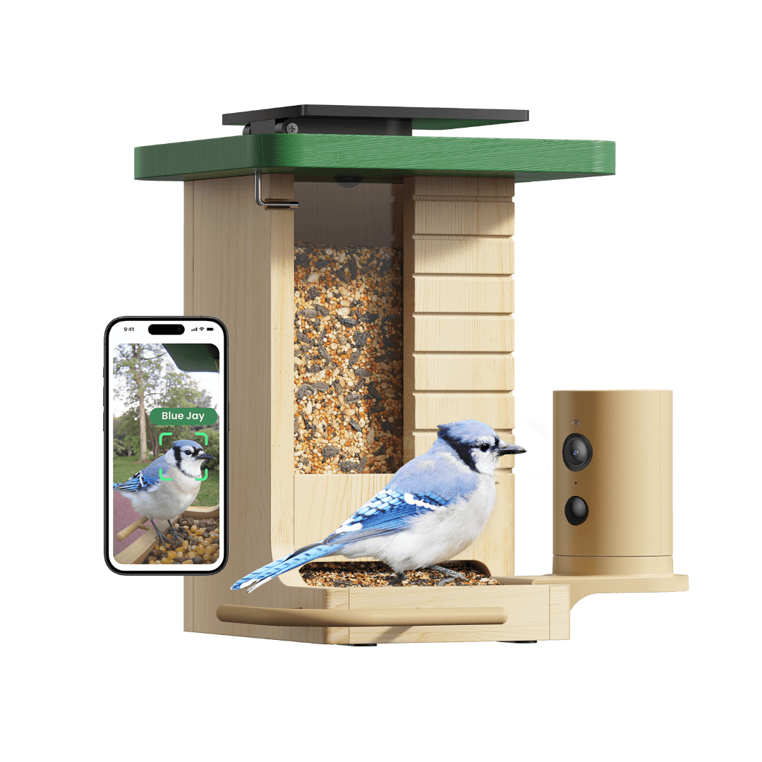 Birdfy Feeder Wood – Mangeoire Intelligente en Bois avec Caméra