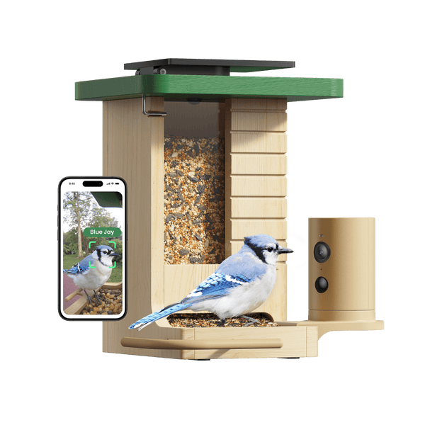 Birdfy Feeder Wood – Mangeoire Intelligente en Bois avec Caméra