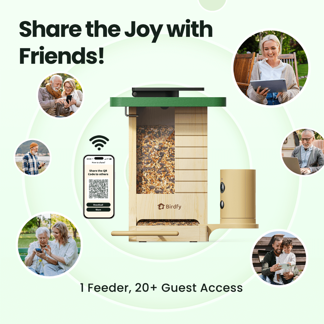 Birdfy Feeder Wood – Mangeoire Intelligente en Bois avec Caméra