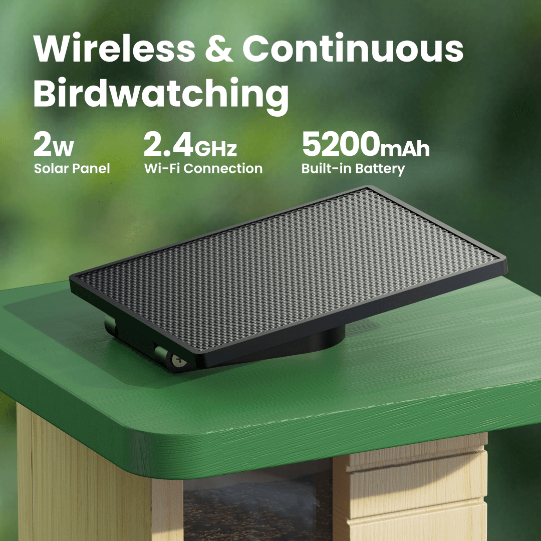 Birdfy Feeder Wood – Mangeoire Intelligente en Bois avec Caméra
