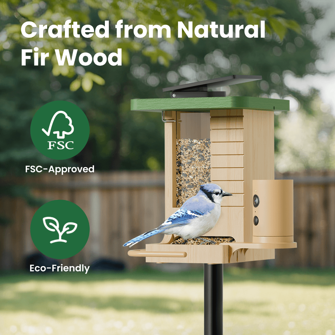 Birdfy Feeder Wood – Mangeoire Intelligente en Bois avec Caméra