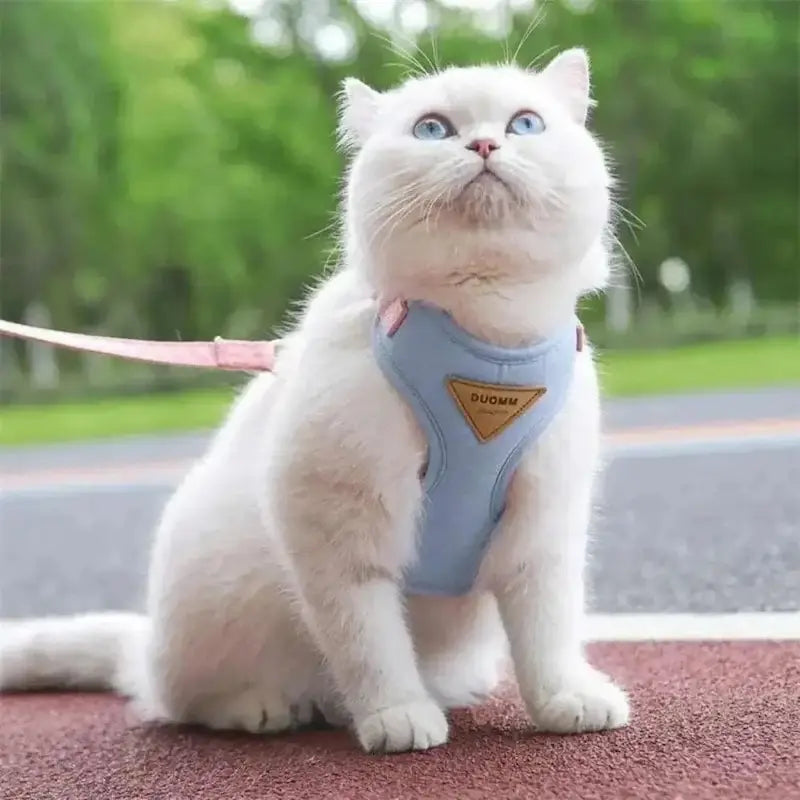Harnais Duomm - Ajustable et anti-fugue