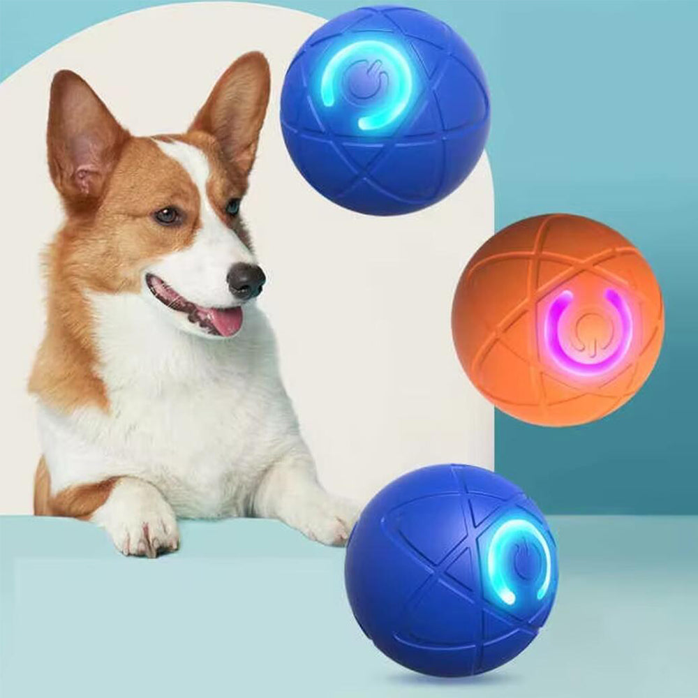 Balle interactive automatique pour chiens et chats en action