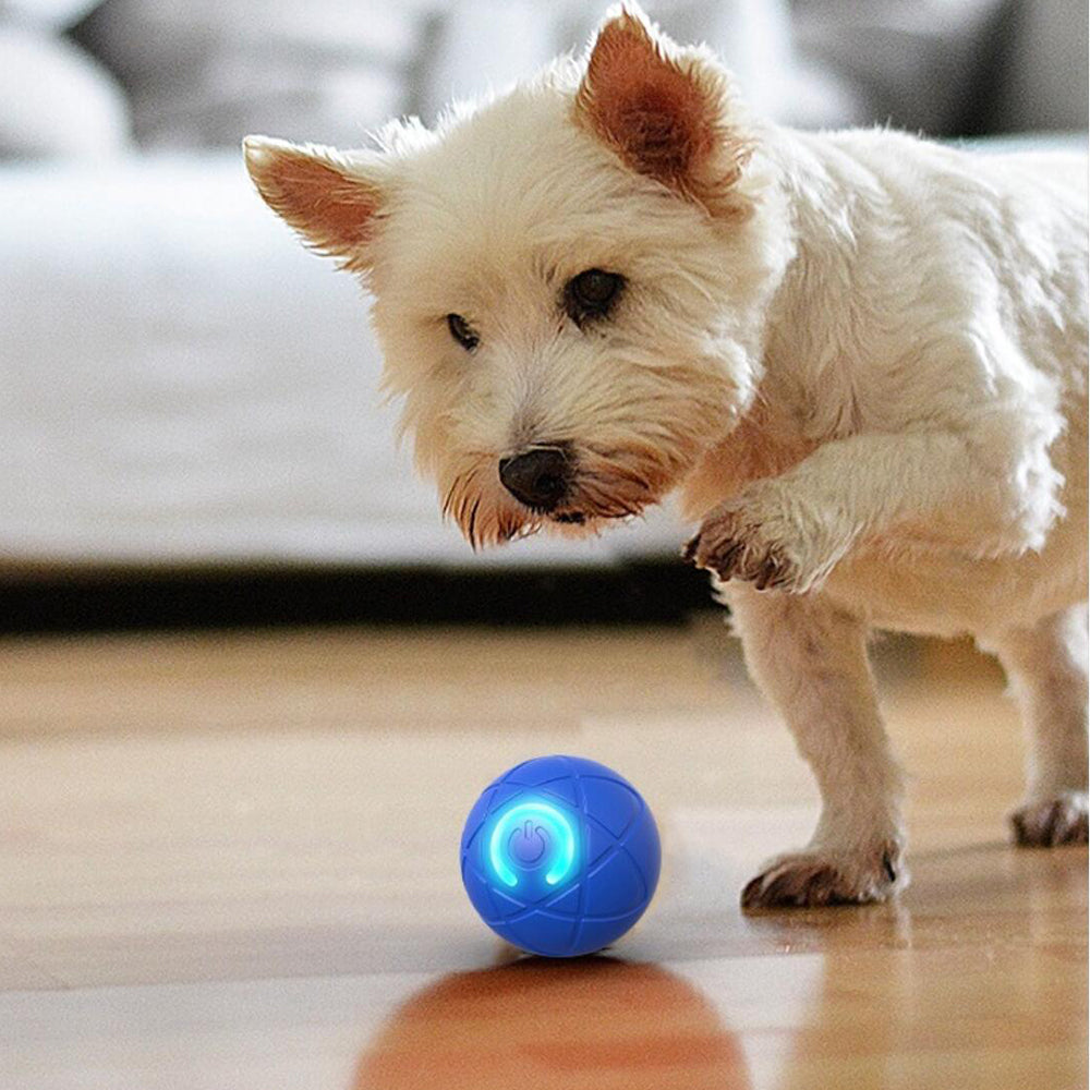 Balle automatique avec LED intégrée pour animaux de compagnie