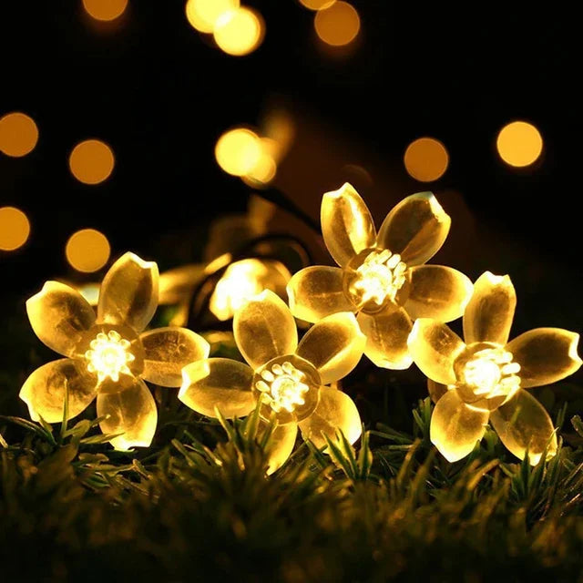 Guirlande lumineuse à fleurs de pêcher