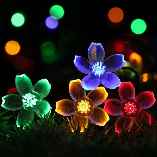 Guirlande lumineuse à fleurs de pêcher