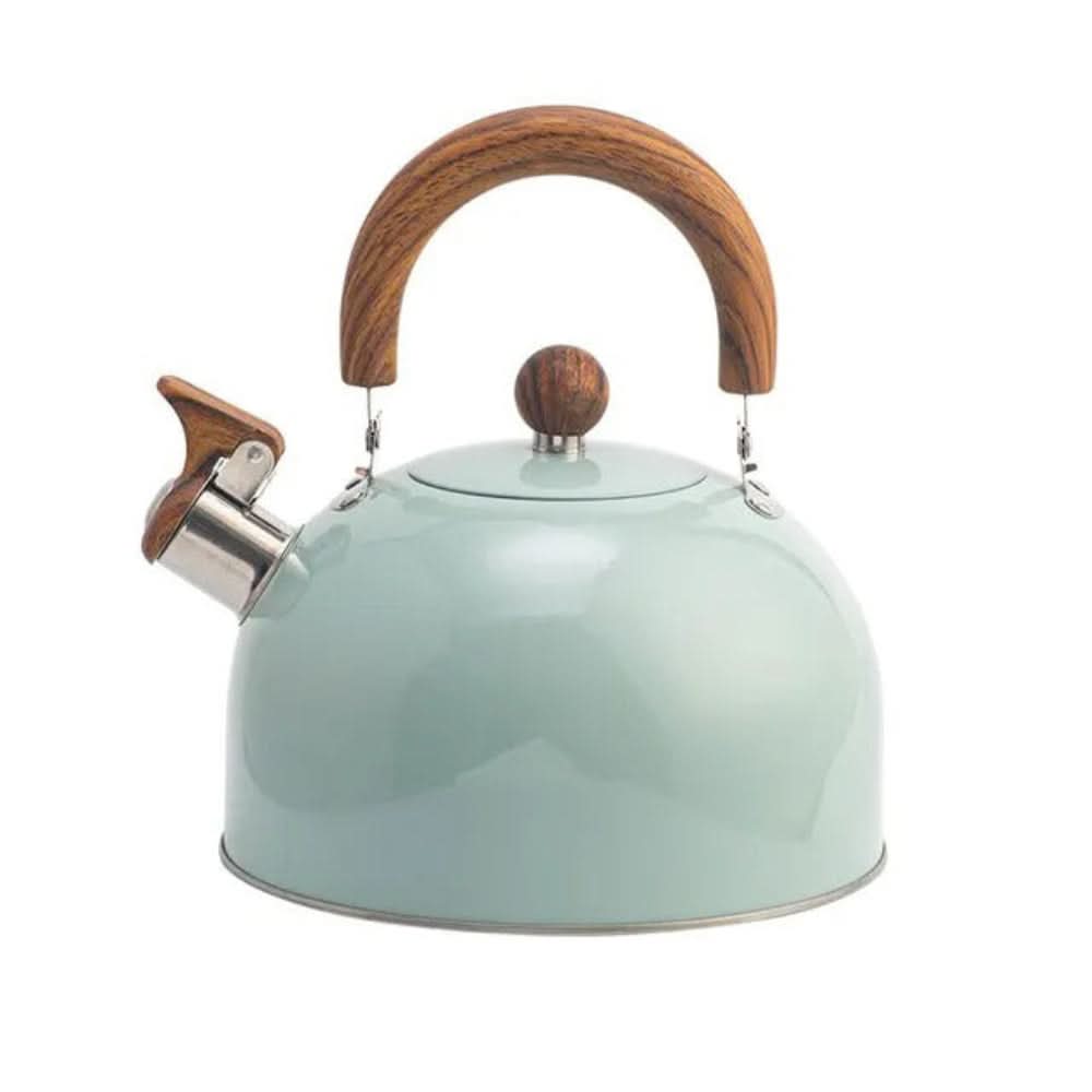 Bouilloire en acier inoxydable pour cuisinière – Design avec sifflet et poignée ergonomique