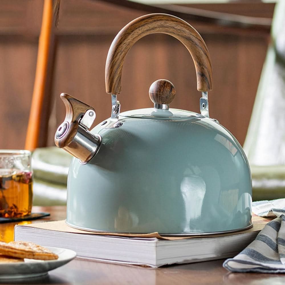 Bouilloire en acier inoxydable pour cuisinière – Design avec sifflet et poignée ergonomique