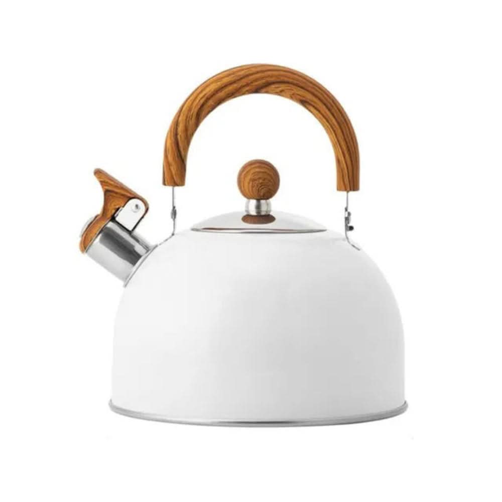 Bouilloire en acier inoxydable pour cuisinière – Design avec sifflet et poignée ergonomique