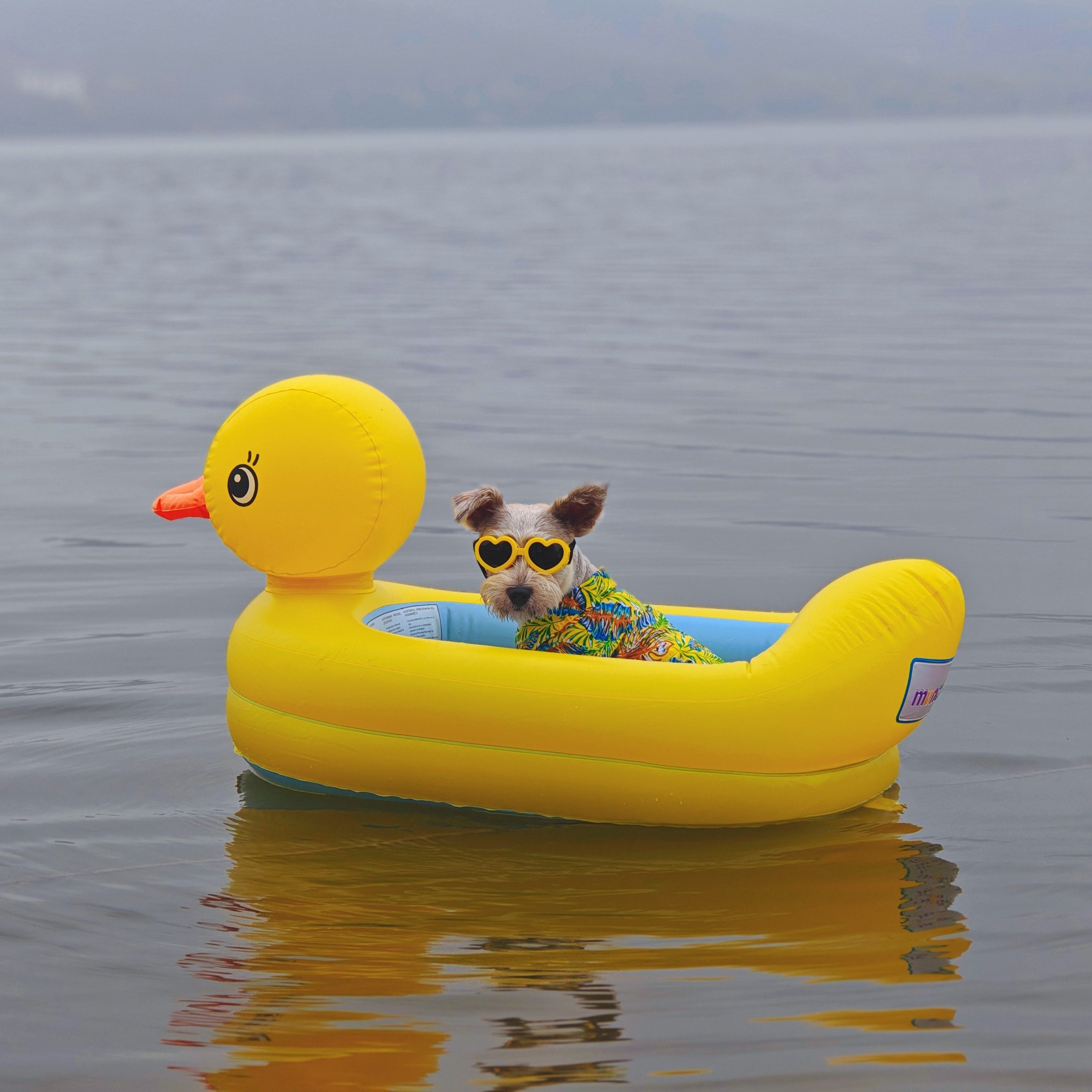 Bouée gonflable en forme de canard pour chiens, pour des jeux d'eau en toute sécurité