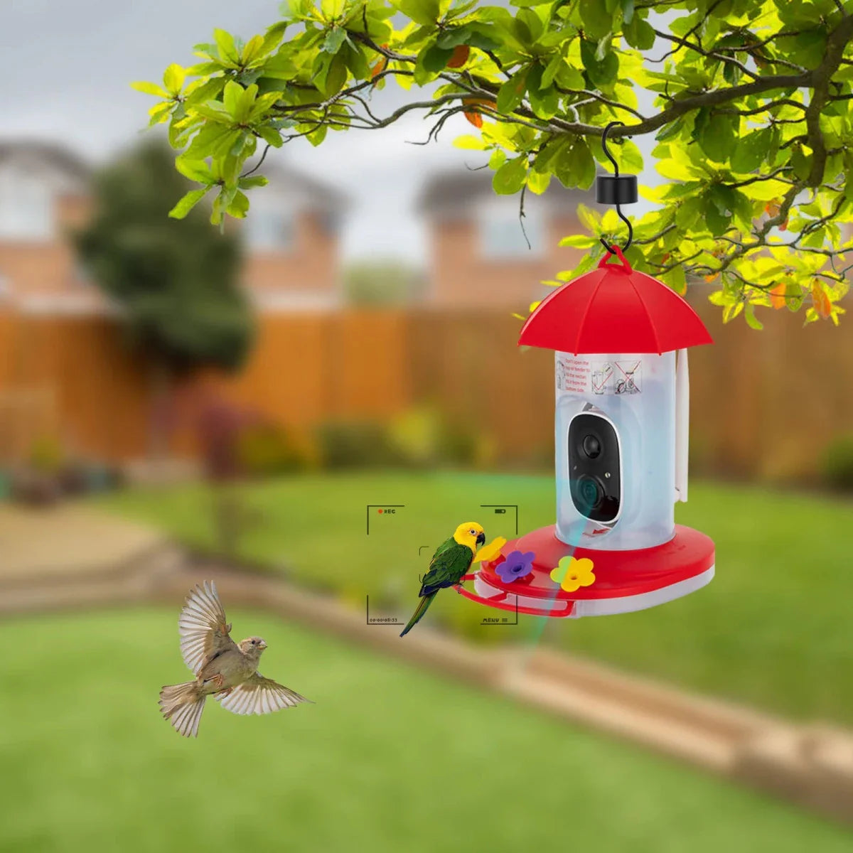 BIRDSCOPE – Mangeoire intelligente pour oiseaux avec caméra 1080p pour une couverture extérieure étendue