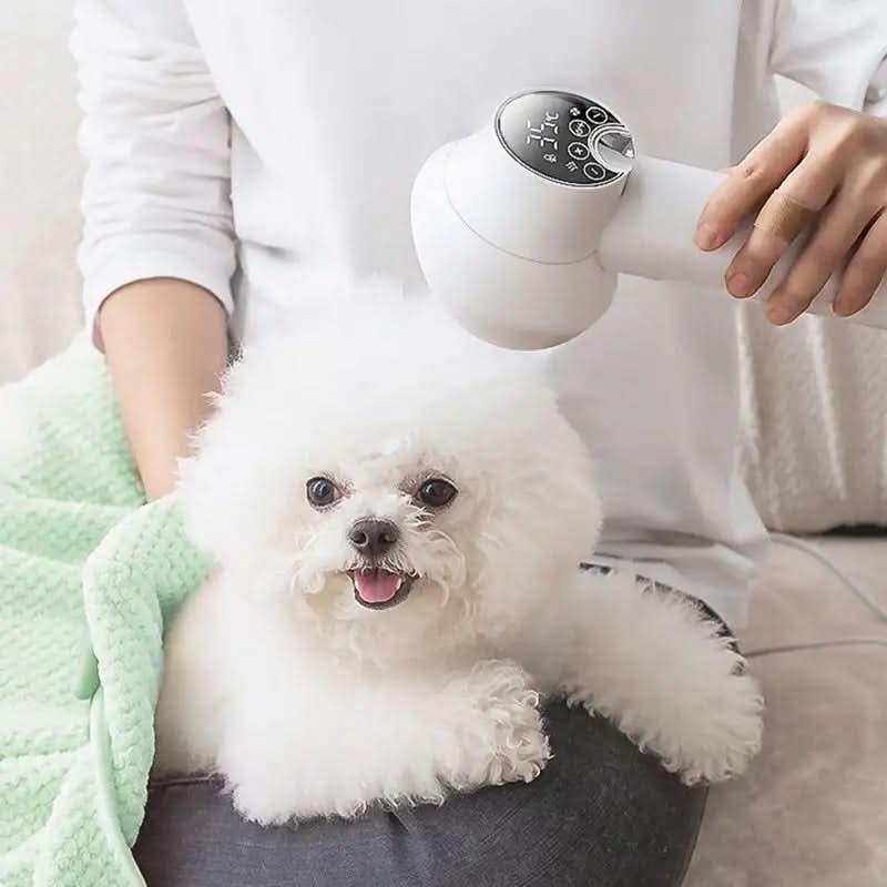 Sèche-cheveux silencieux avec technologie ionique pour animaux de compagnie