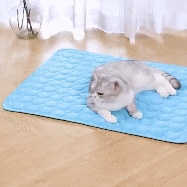 Tapis auto-refroidissant pour animaux de compagnie, confort instantané en été