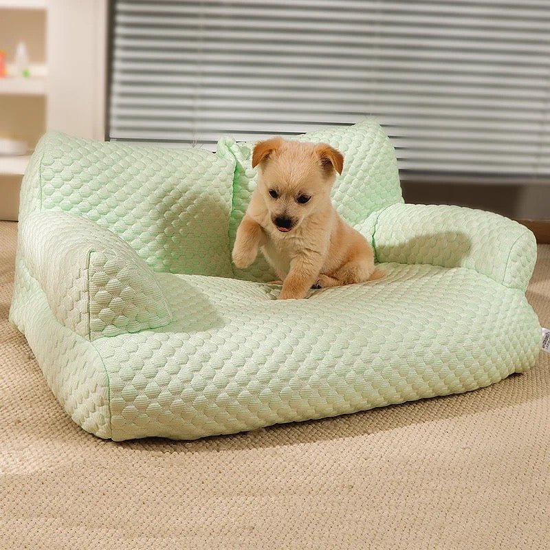 Canapé rafraîchissant pour chiens