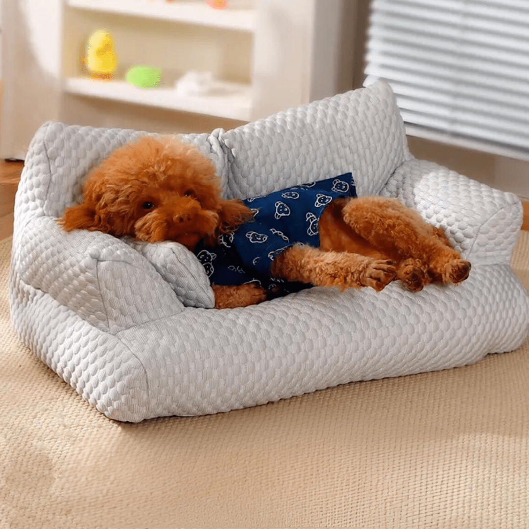 Canapé rafraîchissant pour chiens