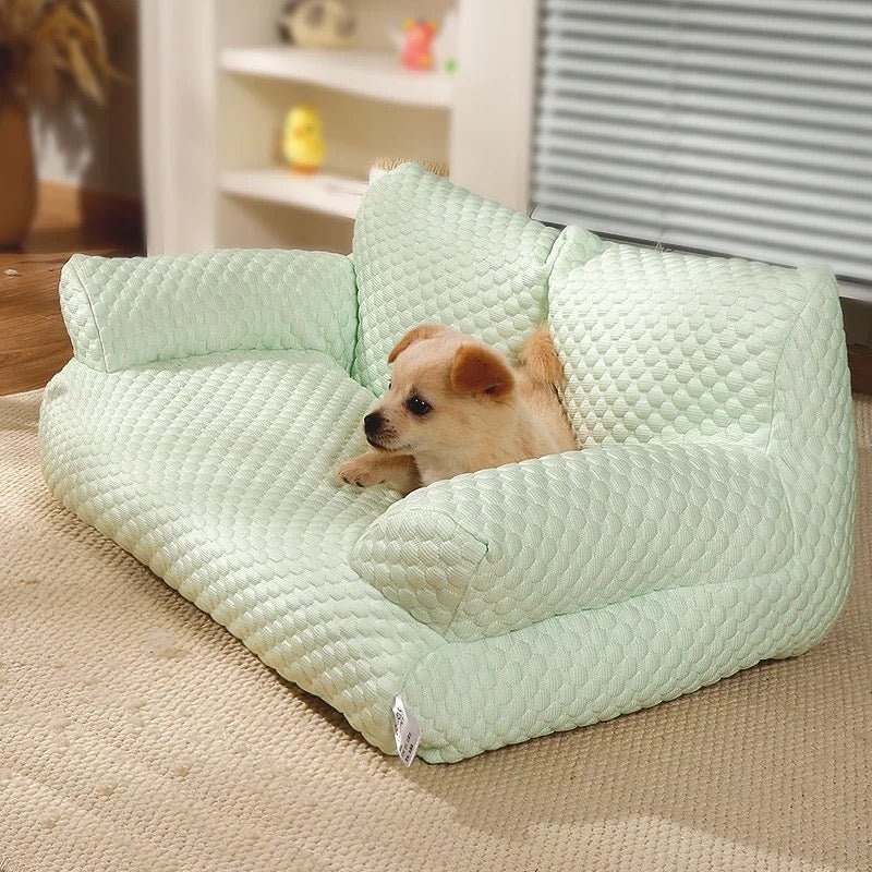 Canapé rafraîchissant pour chiens