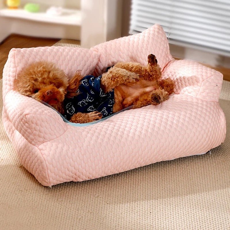 Canapé rafraîchissant pour chiens